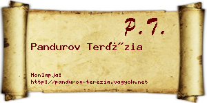 Pandurov Terézia névjegykártya
