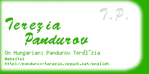 terezia pandurov business card